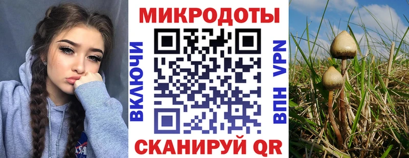 Галлюциногенные грибы мицелий  купить   Северобайкальск 
